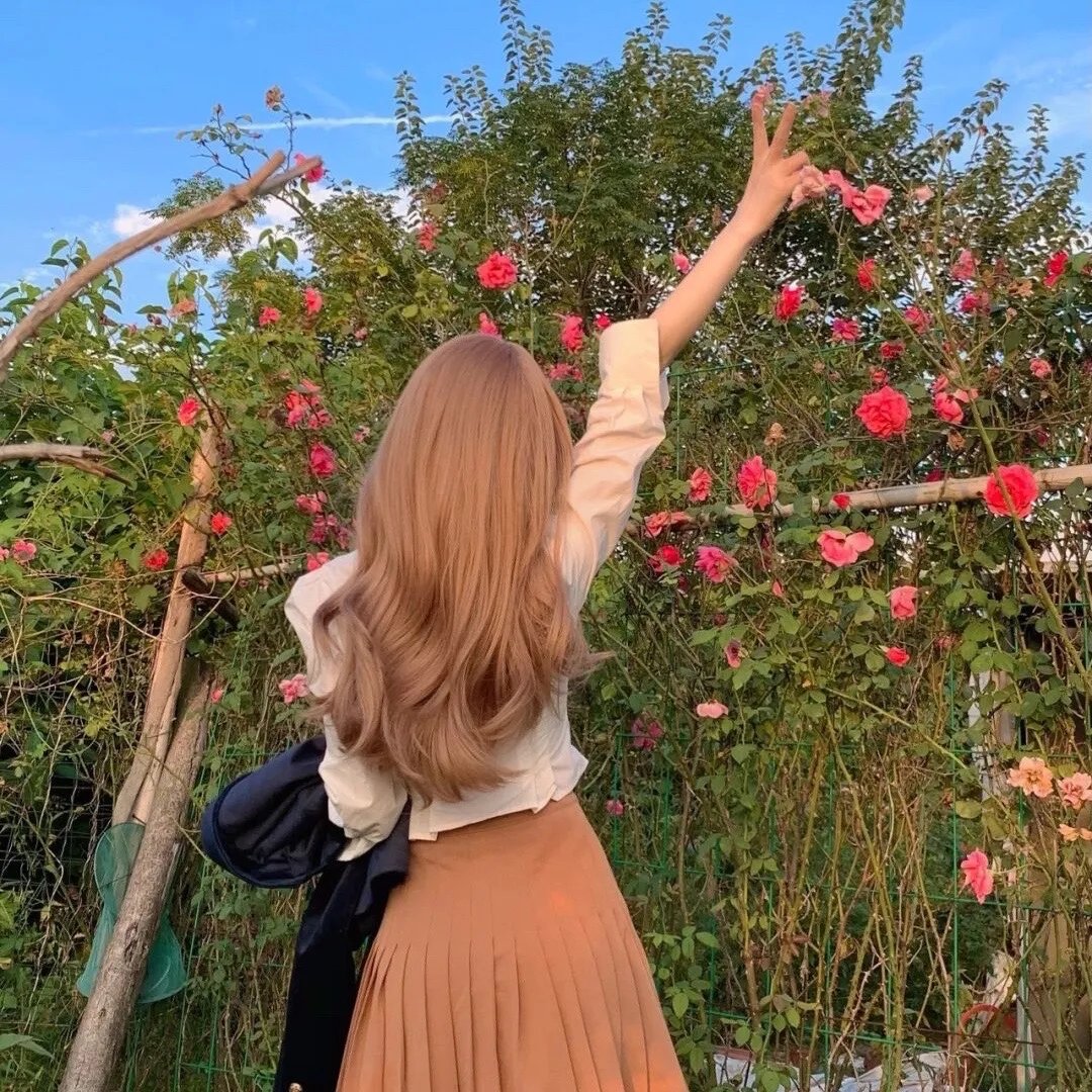 樱花恋